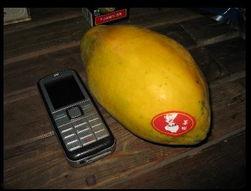 台湾网红吃瓜事件,揭秘网络舆论的风暴与真相  第3张